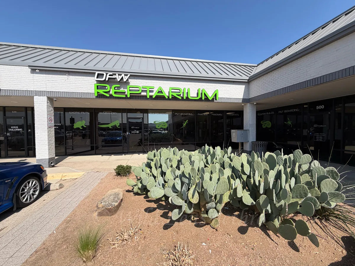 Dfw Reptarium Storefront