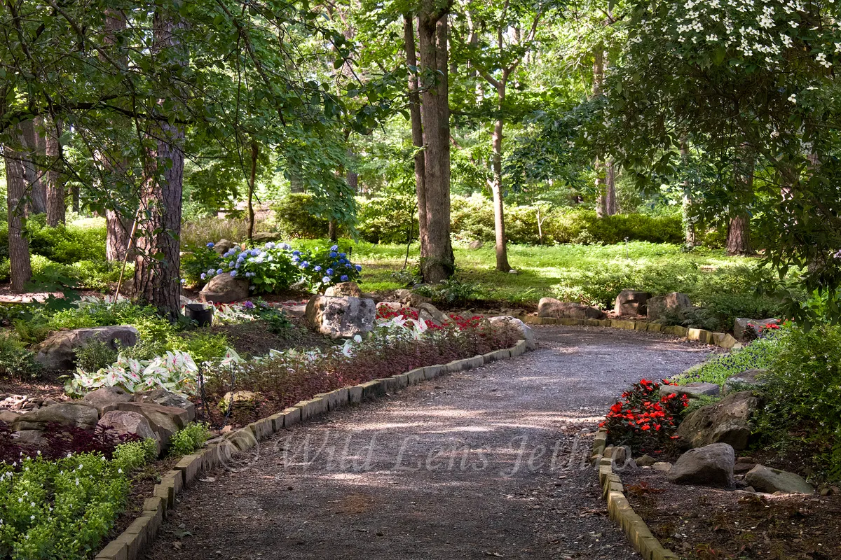 Garvan Woodland Gardens Beautiful Red And Blue Flowers Surrounding Path