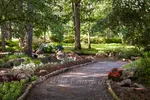 Garvan Woodland Gardens Beautiful Red And Blue Flowers Surrounding Path