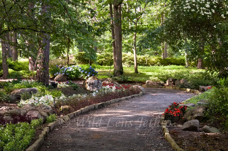 Garvan Woodland Gardens Beautiful Red And Blue Flowers Surrounding Path