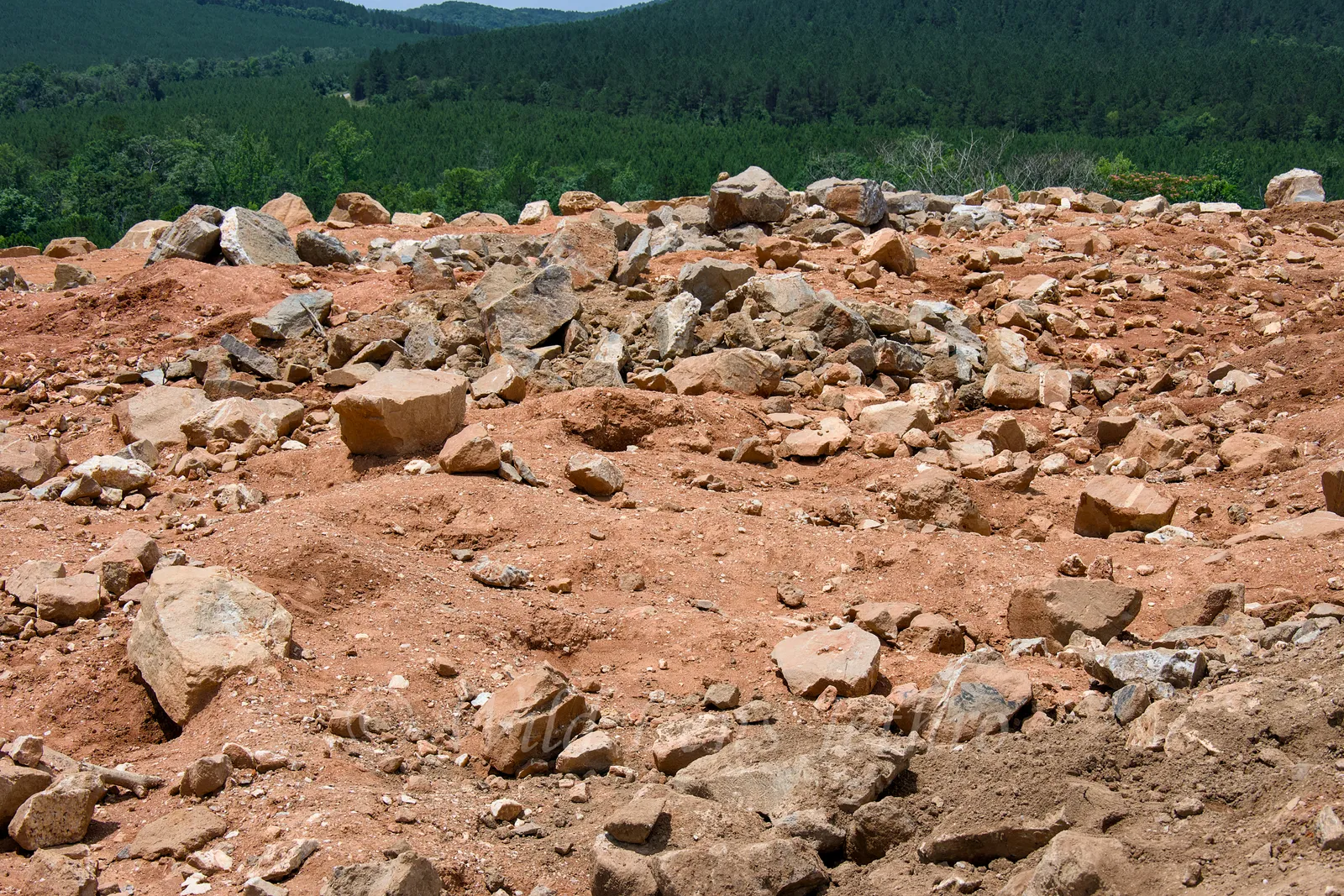 Unearthing Arkansas: A Rockhound's Guide to Ron Coleman Mining