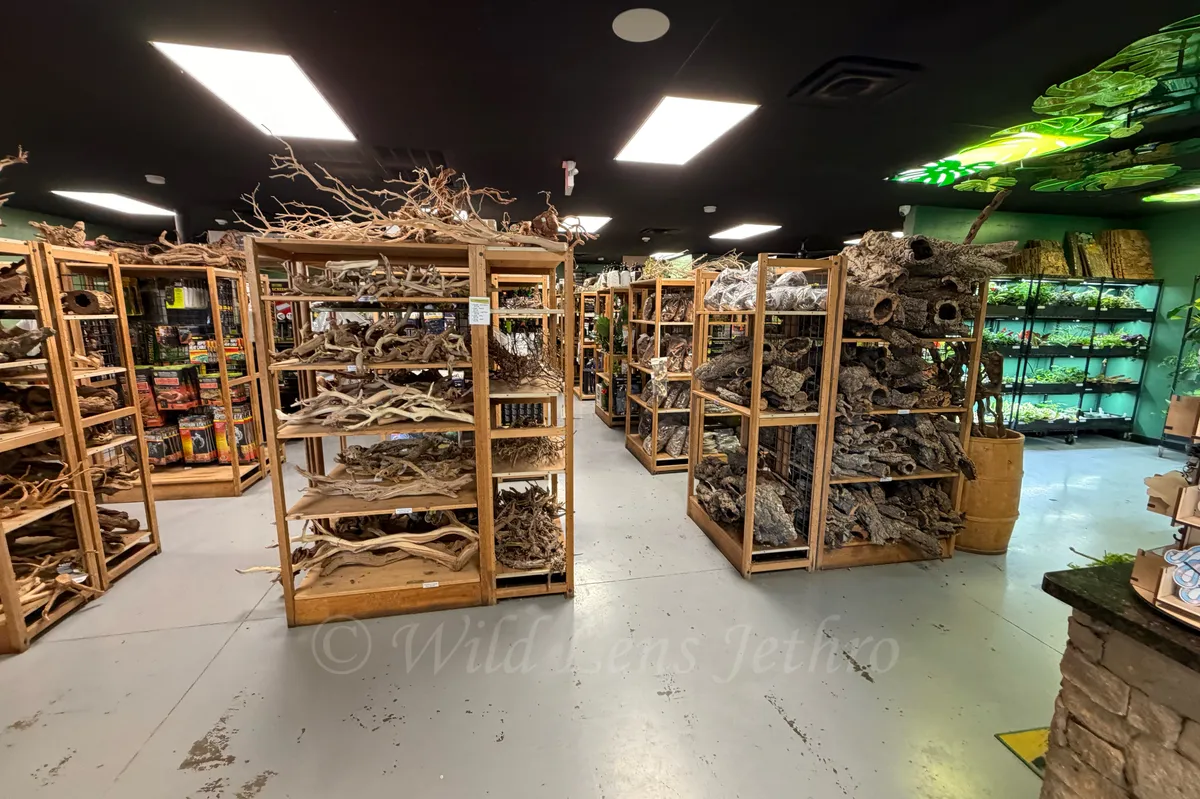 Supplies Section Entry