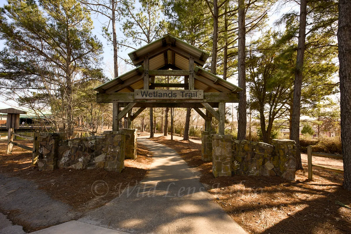 Wetlands Trail Entry