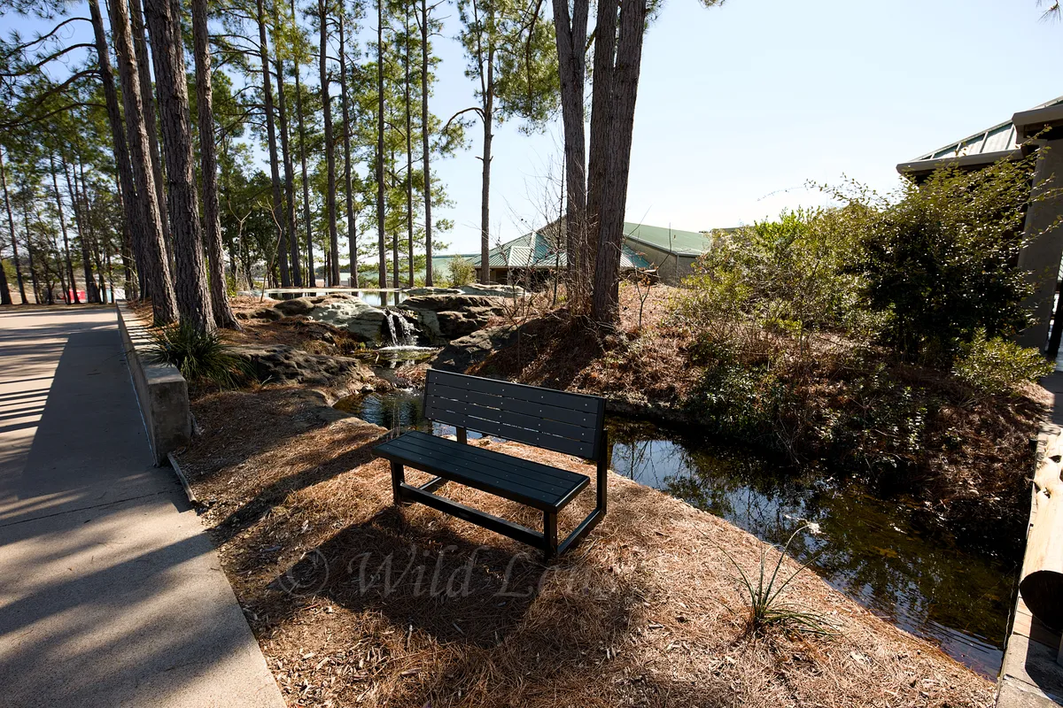 Freshwater Fishery Entry Bench