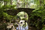 Garvan Woodland Gardens Bridge With Circular Arch