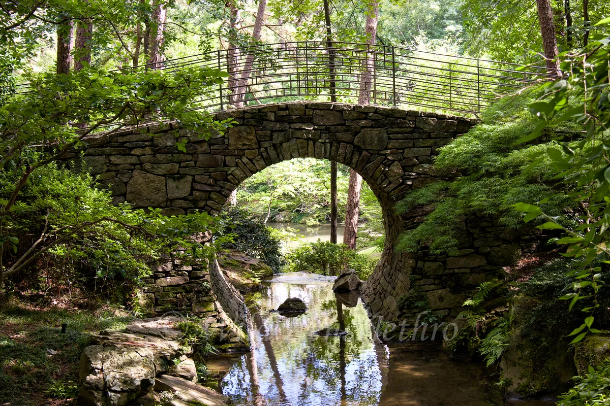 Garvan Woodland Gardens Bridge With Circular Arch