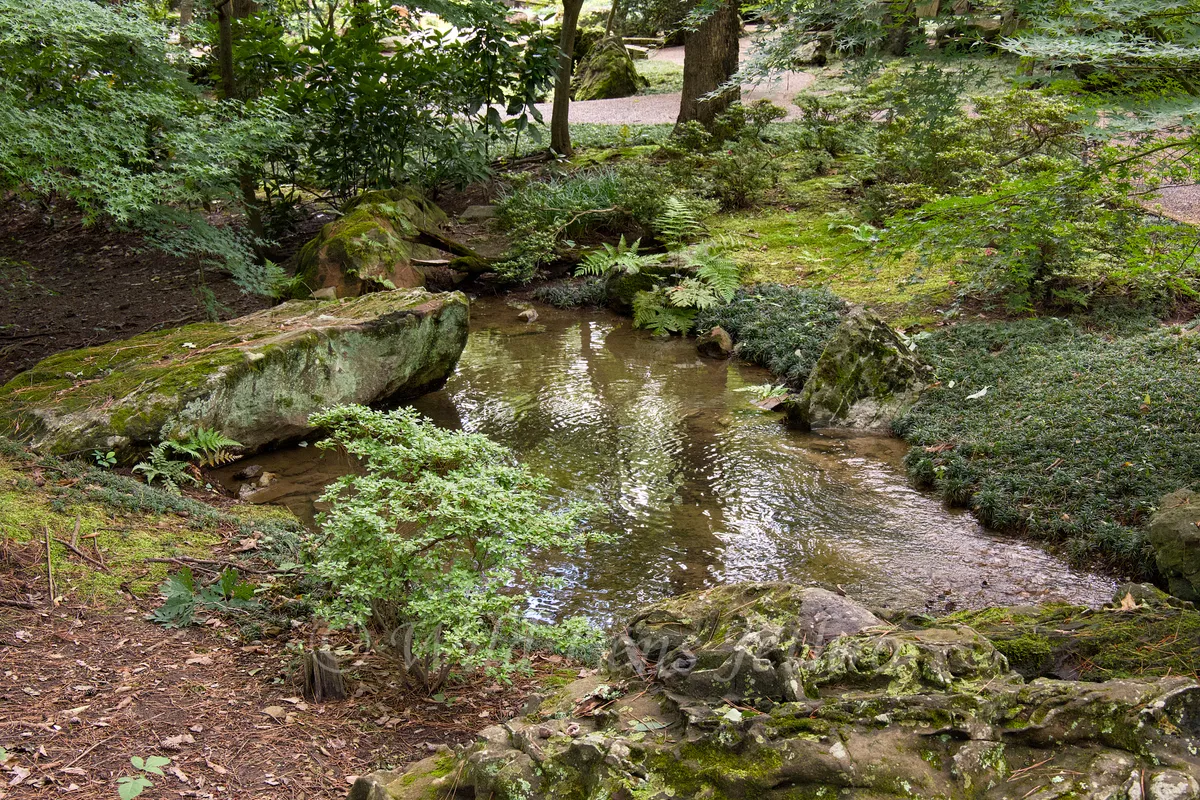 Garvan Woodland Gardens Small Pond After Entry