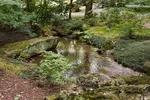 Garvan Woodland Gardens Small Pond After Entry