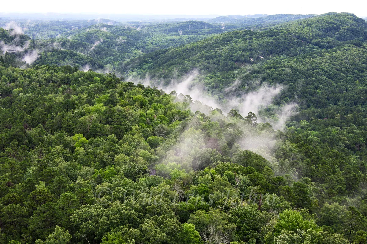 Hot Springs National Park Hot Mistings On Mountains View From Hot Springs Mountain Tower