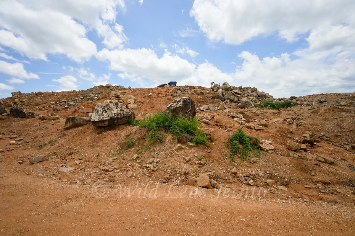 Ron Coleman Mining View Of Digsite From Bottom Entry