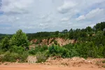 Ron Coleman Mining View Of Trees And Valley From Dig Site
