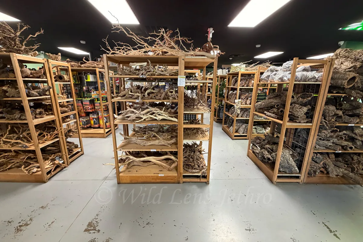 Supplies Section Front Facing