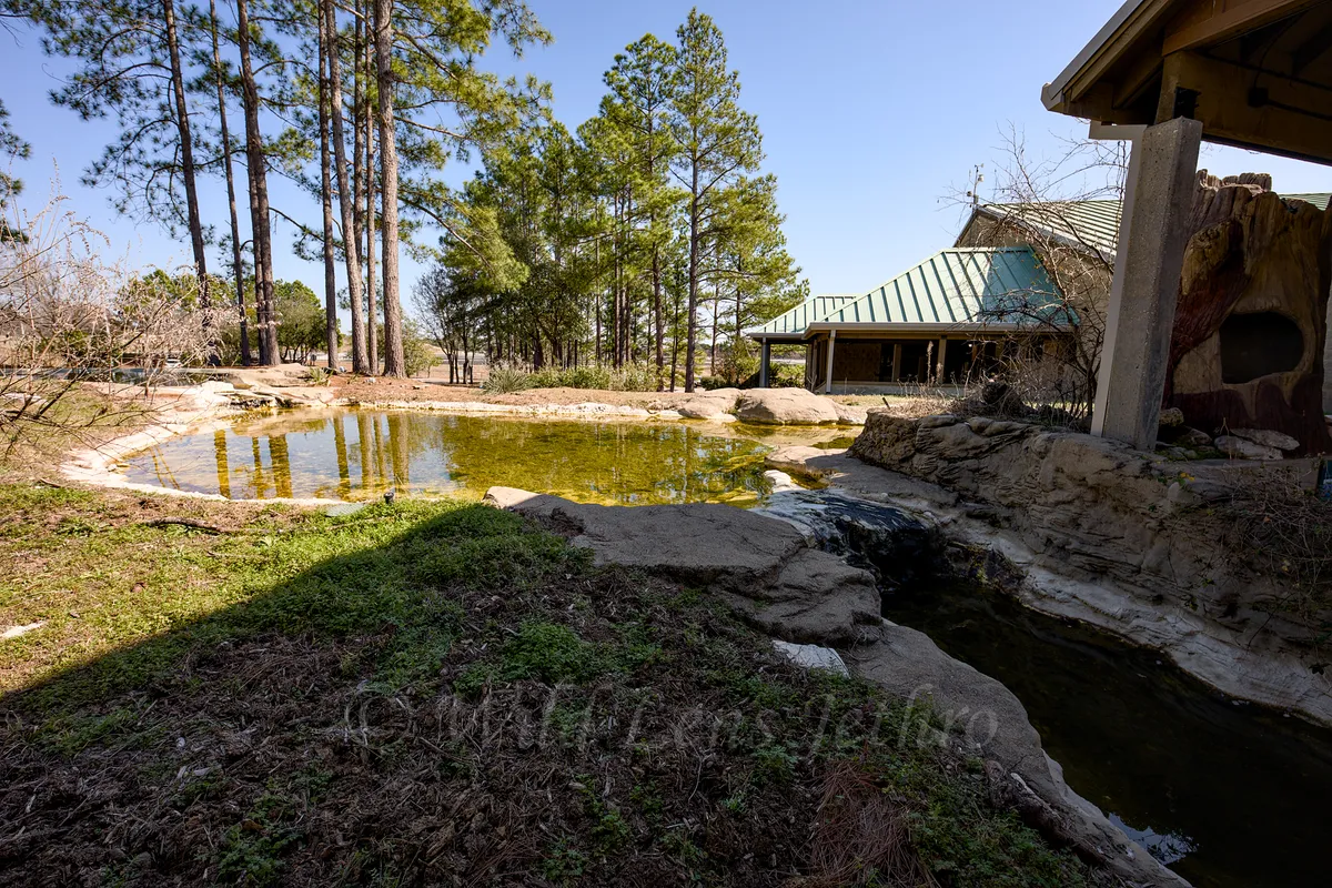 Freshwater Fishery Entry Mini Pond