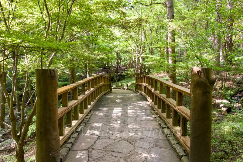 Garvan Woodland Gardens Cobblestone Bridge Surrounded By Trees