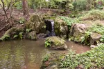 Garvan Woodland Gardens Small Pond With Stream