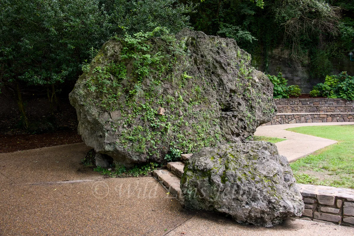 Hot Springs National Park Grand Promenade Mossy Boulders