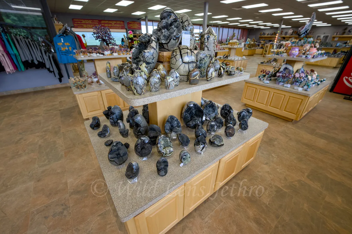 Ron Coleman Mining Gift Shop Septarian Shelf