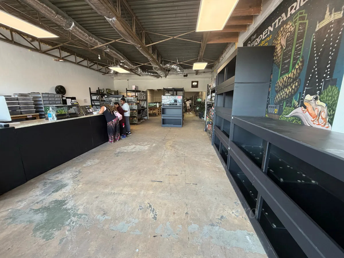 Serpentarium Straight View Of Store