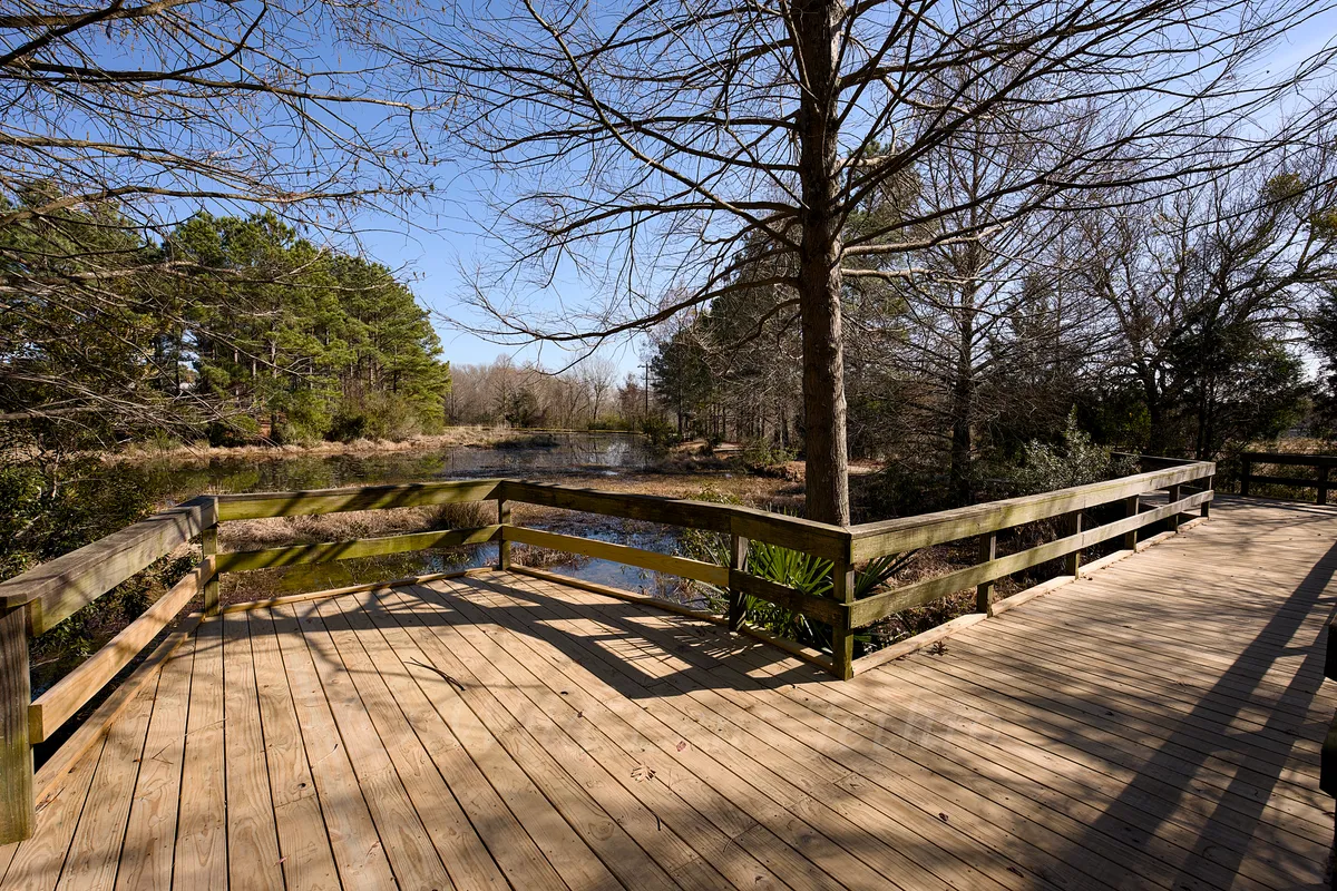 First Trail Pond On Bridge