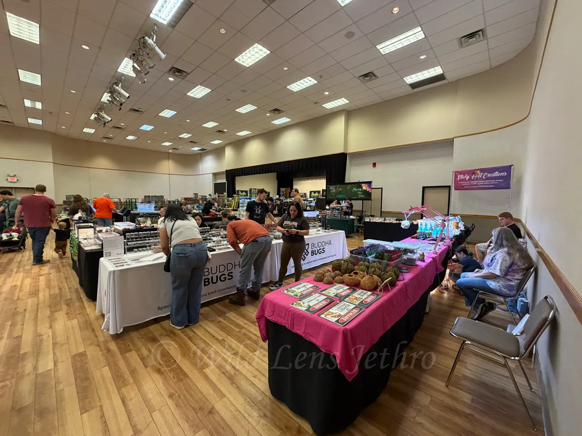 Repticon Main Room Viewed Right