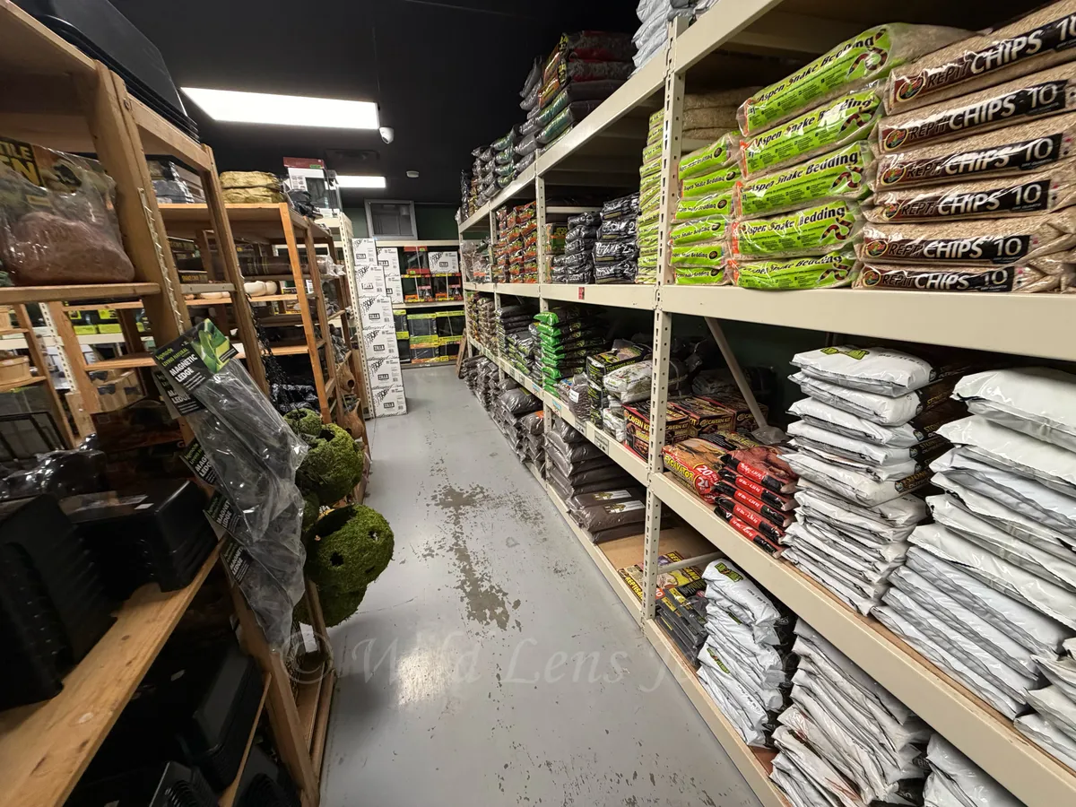 Reptile Bedding