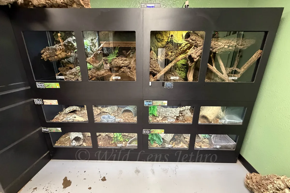 Store Pets Reptile Tanks