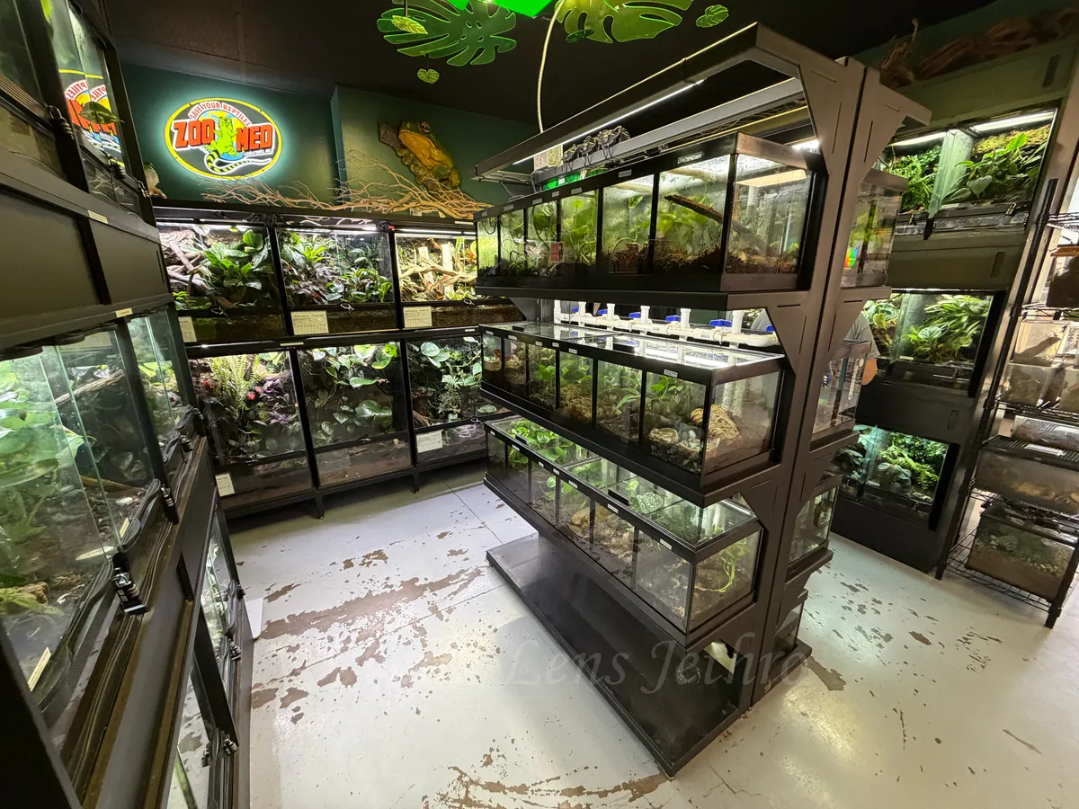 Amphibians Section Back View