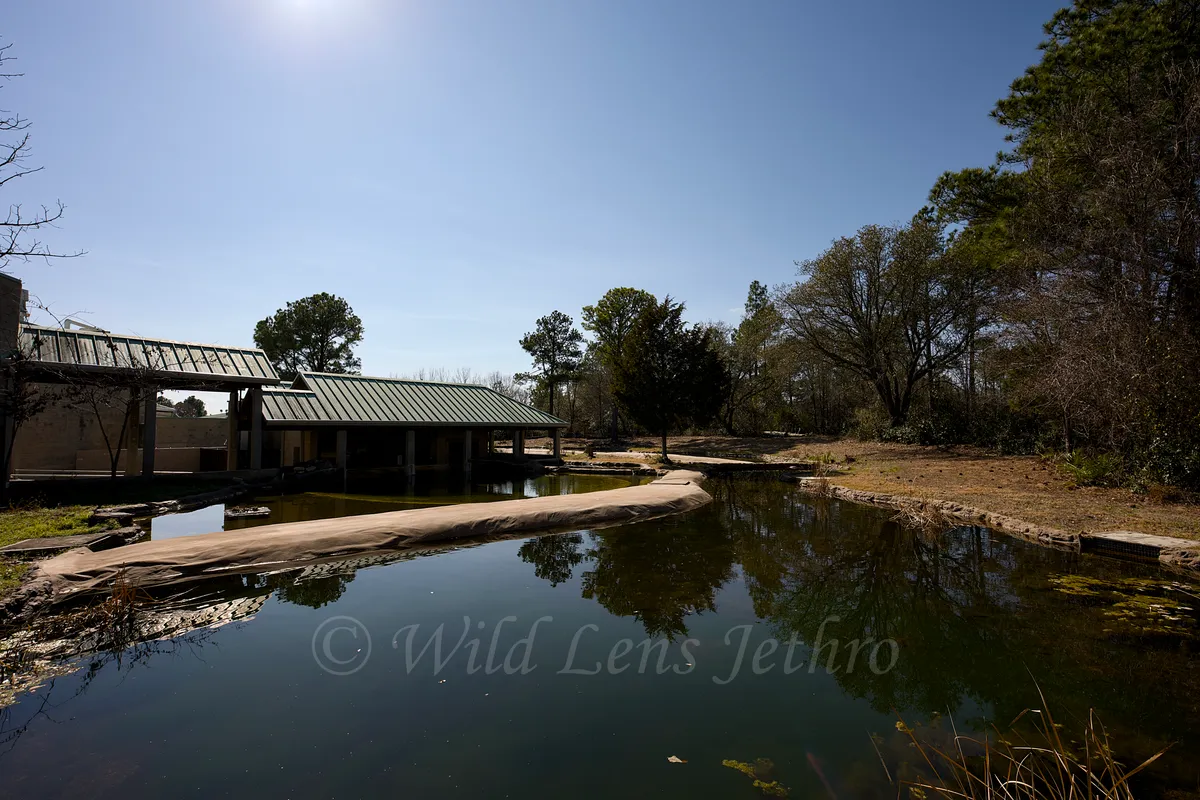 Freshwater Fishery Entry Ramadas Zoomed