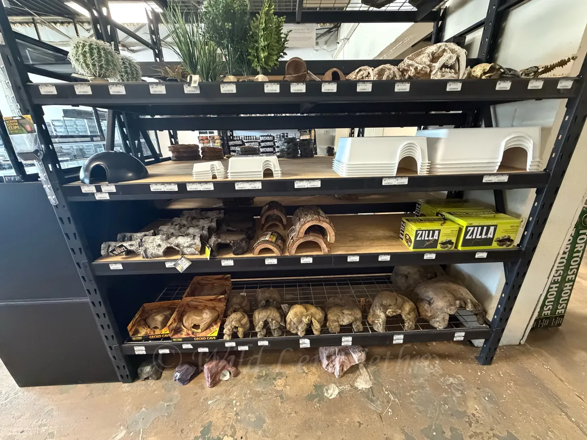 Reptile Decor Supplies