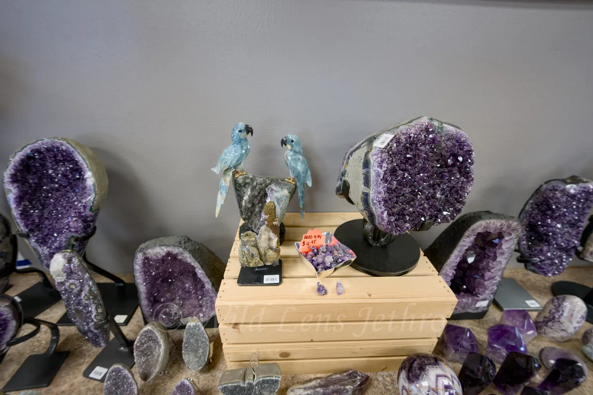 Ron Coleman Mining Gift Shop Unique Crystal Parrot Sculpture