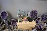 Ron Coleman Mining Gift Shop Unique Crystal Parrot Sculpture