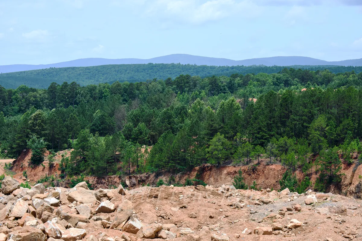 Ron Coleman Mining High View Of Trees And Valley From Dig Site