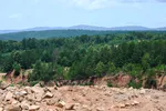 Ron Coleman Mining High View Of Trees And Valley From Dig Site