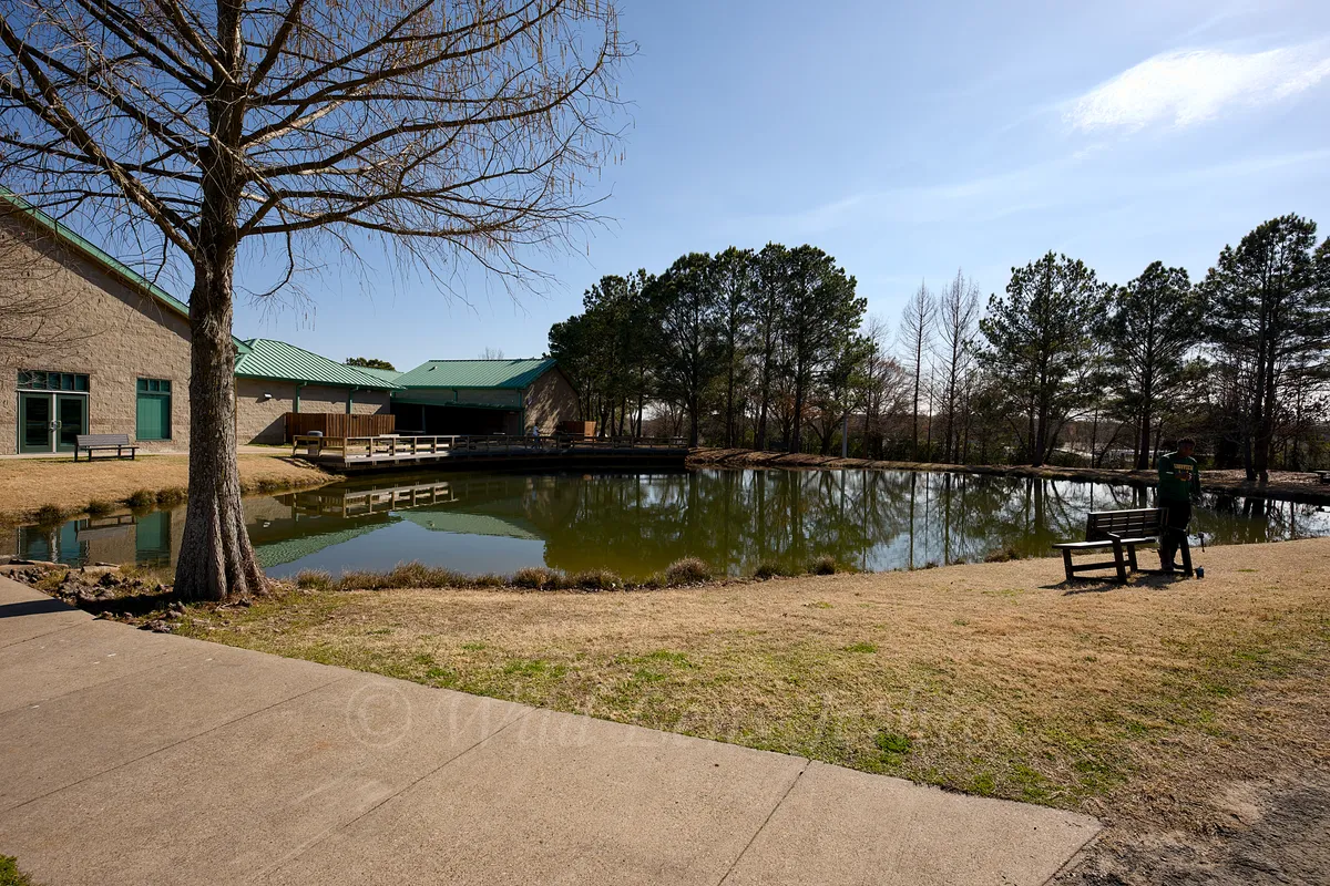 Second Fishing Pond From Path