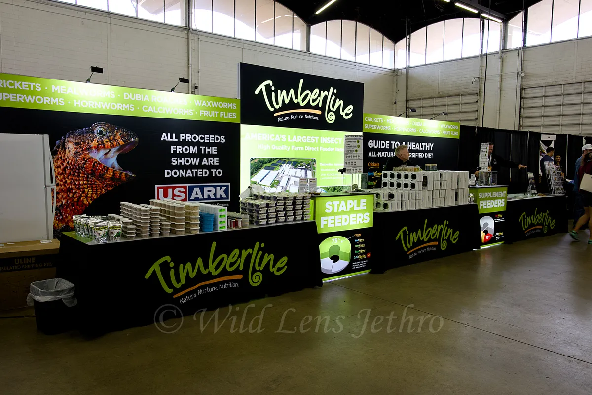 Timerline Vendor