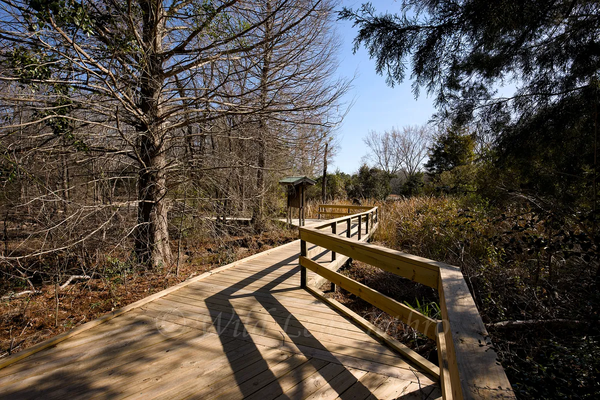 First Trail Pond Curving Bridge