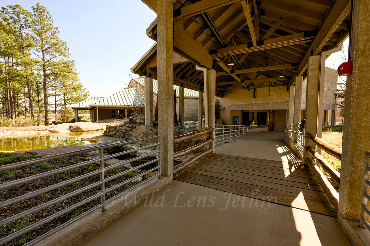 Freshwater Fishery Entry Bridge
