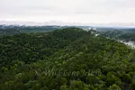 Hot Springs National Park Trees And Valleys From Hot Springs Mountain Tower