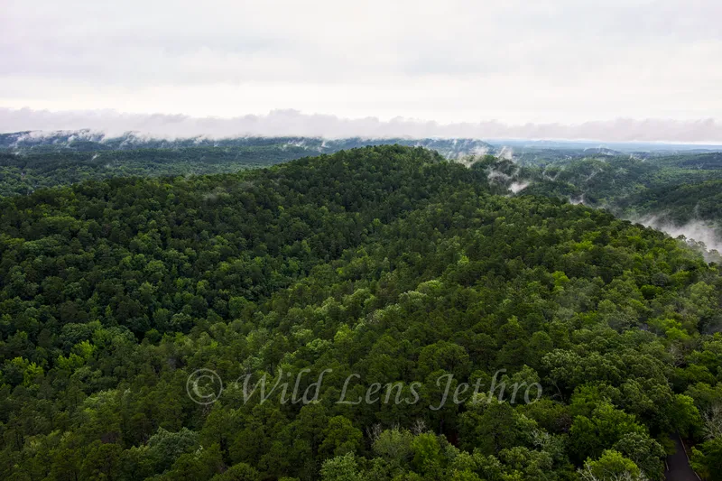 Hot Springs National Park Trees And Valleys From Hot Springs Mountain Tower