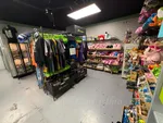 Reptile Themed Gift Shop