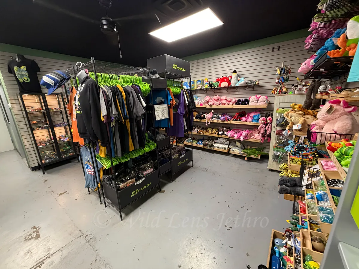 Reptile Themed Gift Shop