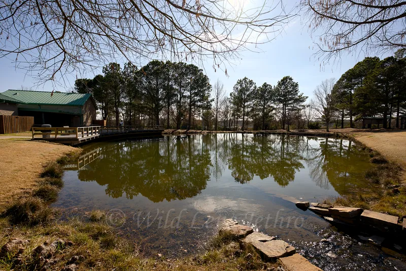 Second Fishing Pond Side Angle