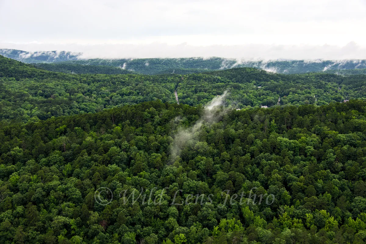 Hot Springs National Park Trees And Valleys From Hot Springs Mountain Tower