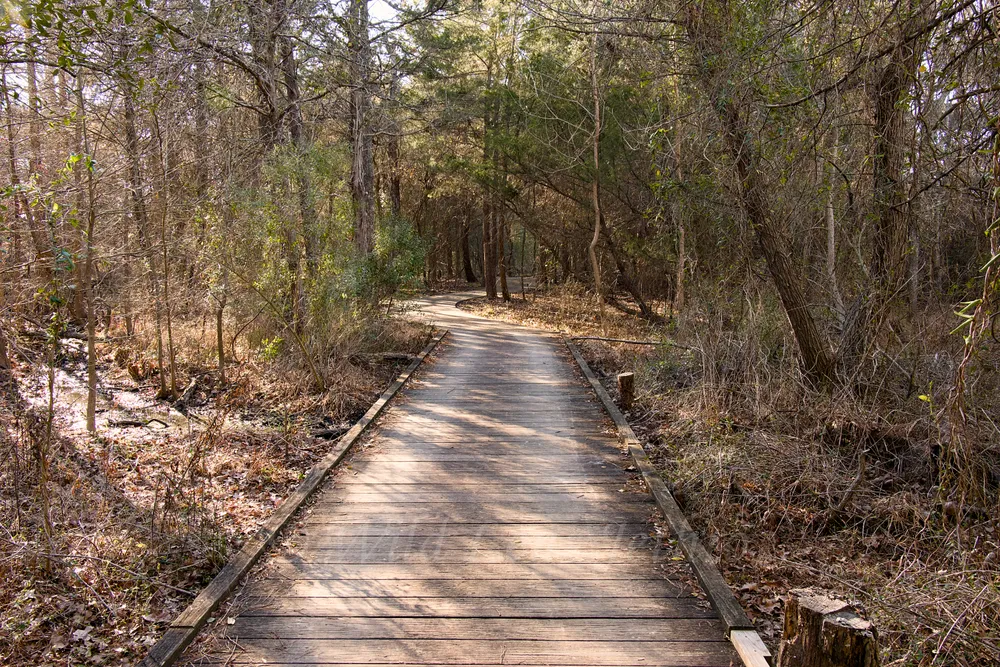 Pleasant Trail Bridge Over Low River