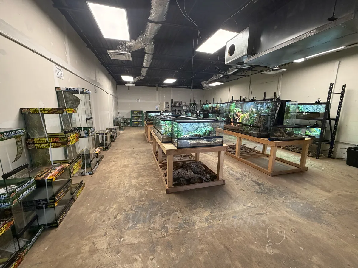 Reptile Room From Corner