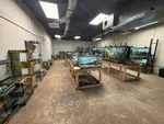 Reptile Room From Corner