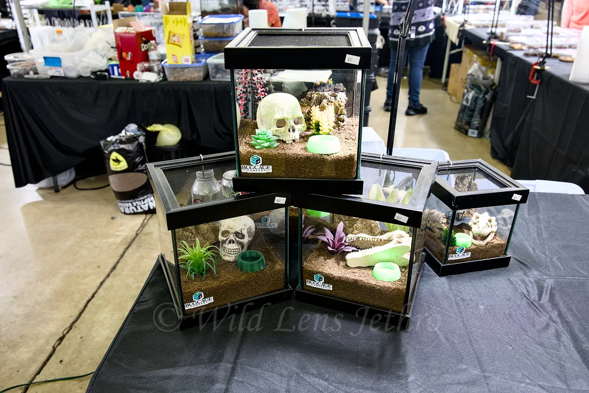 Bug Tanks With Skulls