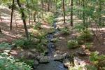 Garvan Woodland Gardens Stream Through Forest