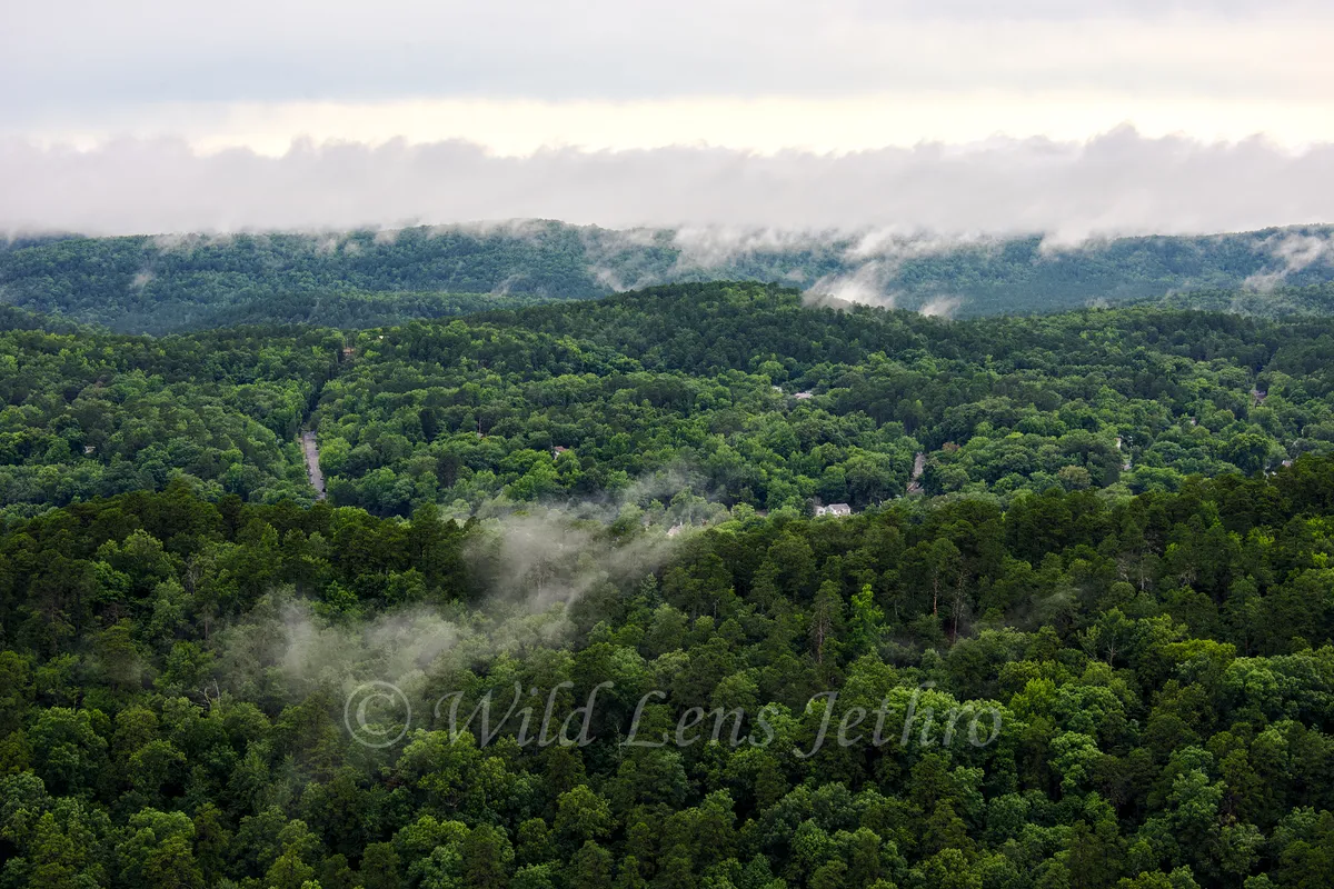 Hot Springs National Park Trees And Valleys From Hot Springs Mountain Tower