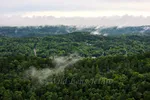 Hot Springs National Park Trees And Valleys From Hot Springs Mountain Tower